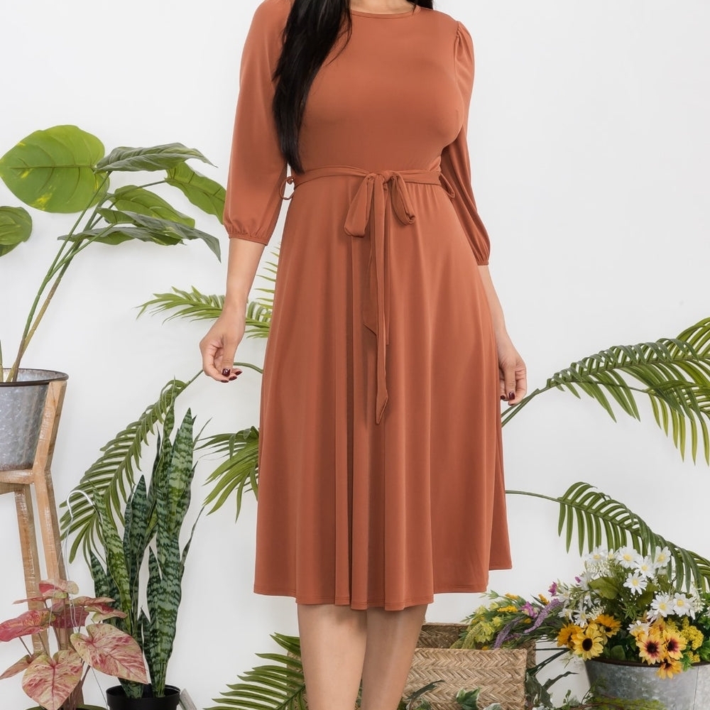 Fit & Flare Terracotta Midi Dress